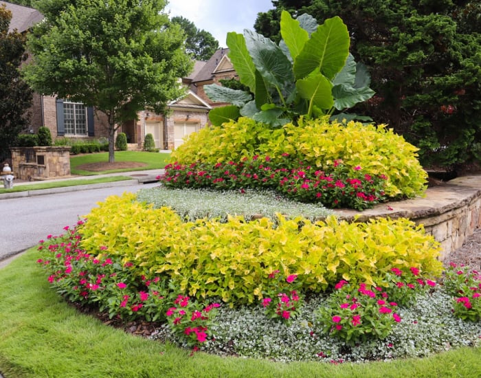 Gardening Services in Marietta