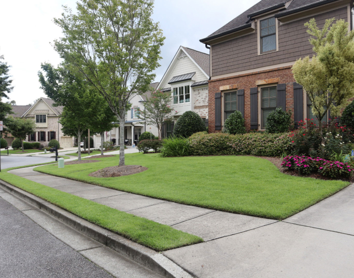 Professional Edging And Mulch Installation