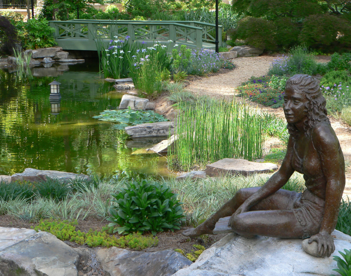 Backyard Pond Installation