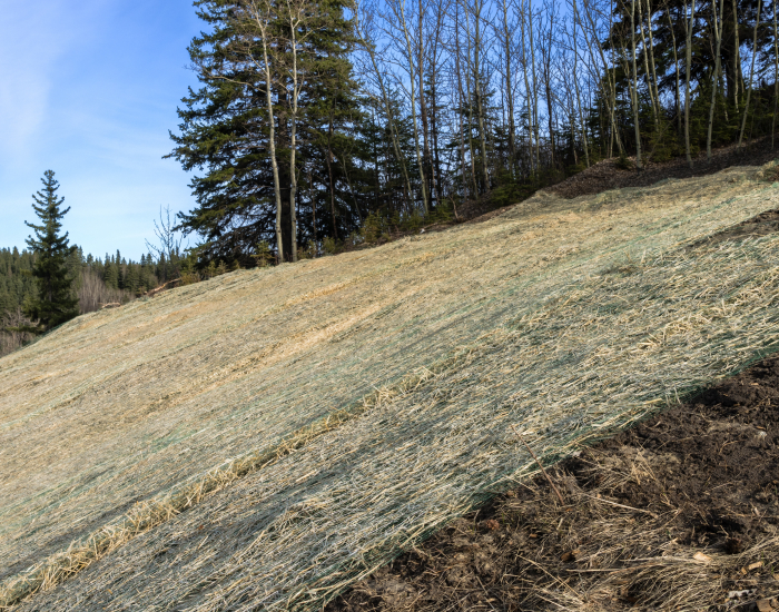 Erosion and Structural Damage